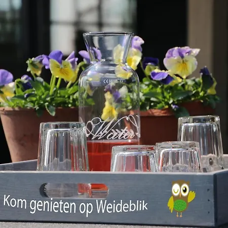 Vakantiehuis Weideblik Biezenmortel Exterior photo