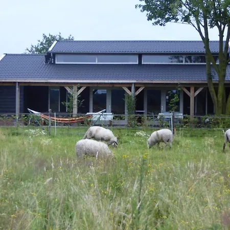 Vakantiehuis Weideblik Biezenmortel Exterior photo
